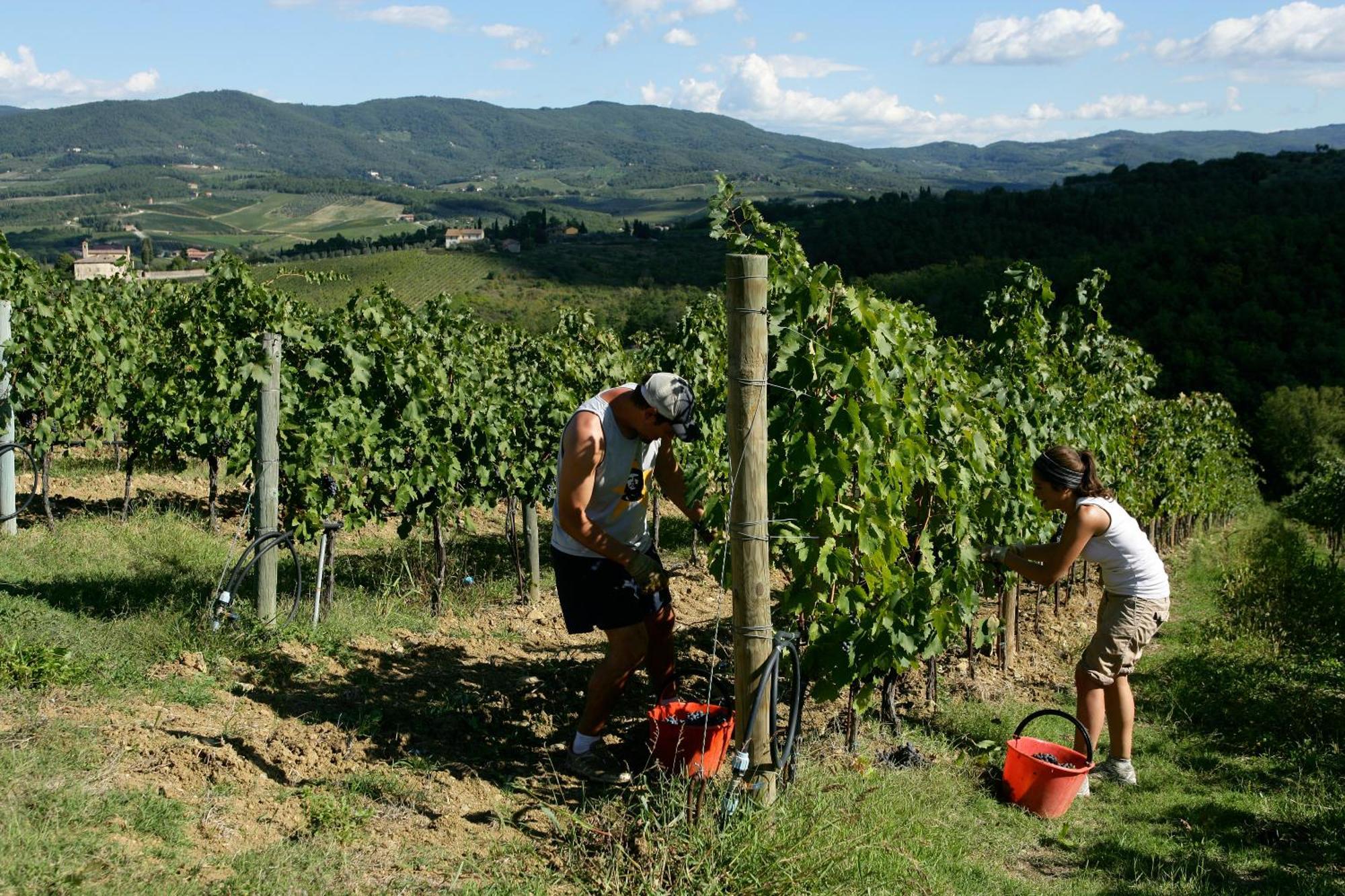 Castello Di Gabbiano Villa Mercatale Val Di Pesa Bagian luar foto